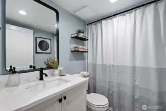 Lower level full bathroom