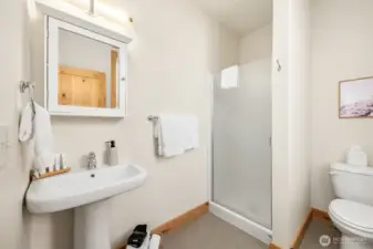 Shower in mudroom