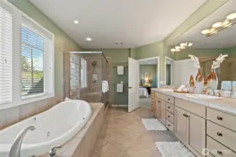 Soaking Tub and Shower