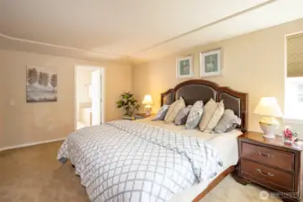 Primary Bedroom with access to Luxury Bath.