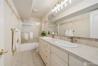 Full Bathroom Downstairs LL