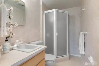 Lower level 3/4 bath