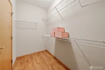Primary bedroom with LARGE walk-in closet.