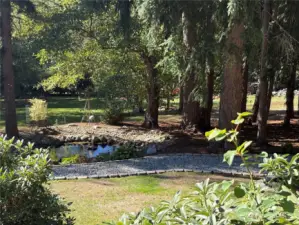 Lower pond area - sweet!