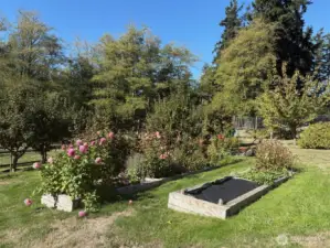 Orchard trees, raised garden beds and an enclosed gazebo ... oh yes, there's a house and a great big shop building too!