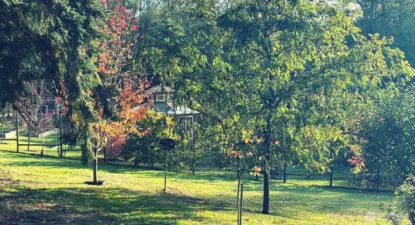 Spring, summer, fall colors galore!  All seasons are wonderful here.