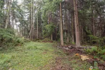 Beautiful 2.5 acre back lot with cedar and fir trees. Plenty of space for a new structure.