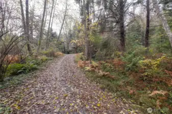 Resurfaced driveway entry.