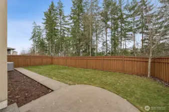 Private back yard