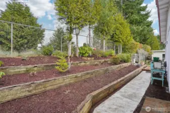 Terraced back yard garden space