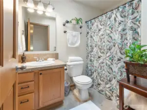 Guest bath on 2nd story offers a pretty skylight & a bathtub!