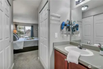 Vanity sink in Master