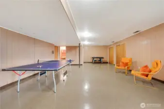 A fun and versatile second entertainment room on the lower level, complete with a cozy fireplace and plenty of space for games, lounging, and gatherings. Perfect as a lively rec room, teen hangout, or an inviting spot to host friends and family.