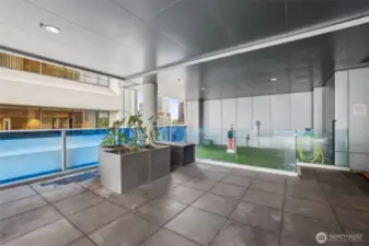 Pet area!