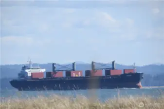OR WATCH CARGO SHIPS BREACH THE WAVES AT THE JETTY ON THEIR LONG VOYAGE!