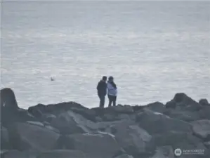 LOVERS WATCHING THE WAVES AND WHALES MIGRATING ALONG THE OCEAN FROM THE ROCK JETTY!