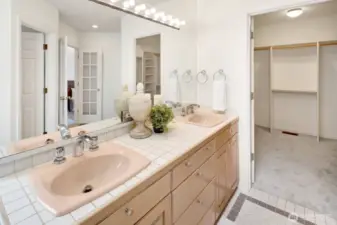 The main level primary bath features double-sinks and a large walk-in closet