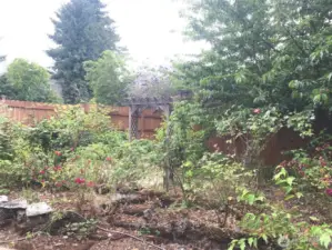 Garden Area