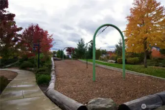 Zip line, fun for all ages!