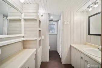 Lower level bathroom