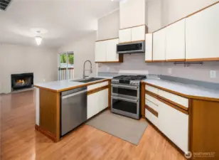 Kitchen peninsula with seating potential, stainless appliances, and sight lines to the living room and fireplace.