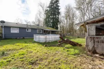 Shed looking to Home