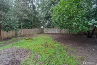 Back yard with mature shade trees.