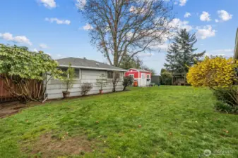 The fence even has viewing portals for the dogs to see what's outside.