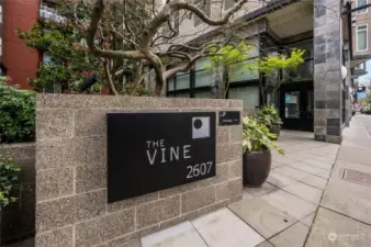The Vine Condominium located in Belltown, close to the Olympic Sculpture Park, Myrtle Edwards Park, Pike Place Market, the waterfront, restaurants, coffee shops and so much more!