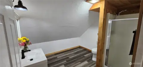 Bathroom with shower and a lot of extra space (move laundry up?)