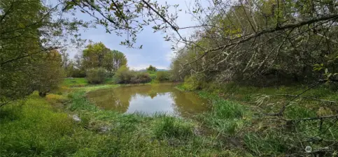 Klee Pond was once part of a thriving commercial trout farm.