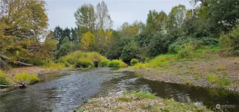 Follow the trail down to the river and watch the spawning salmon.