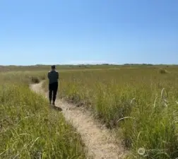 Trail to Beach