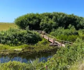 New Bridge