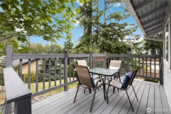 Elevated deck with tree-lined views and space for outdoor dining.
