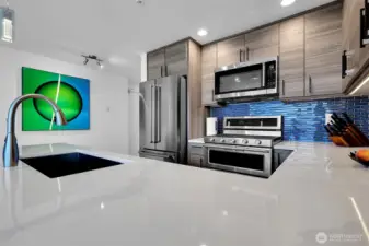 Gorgeous high-quality quartz counters, large undermount sink, new appliances.