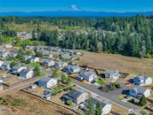 is that Mt Rainier