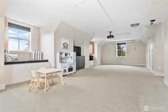 Has been used as an in-home theater and playspace.