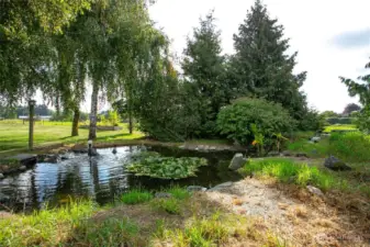 Park-like pond with trickling stream in the back yard.