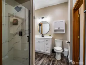 Another view of the remodeled downstairs bathroom, highlighting the walk-in shower and modern finishes