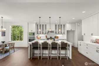 This is a presale. Photos are for marketing purposes only. Pictures will show options, upgrades and some unavailable features.