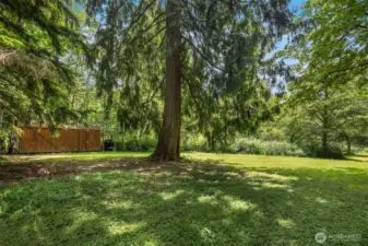 Shed complete with power and heat.