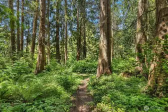 Private ~1/3 trail loop.