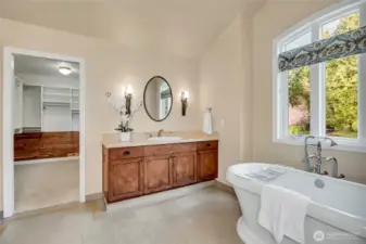 Huge walk in closet with built ins.  You'll love it!