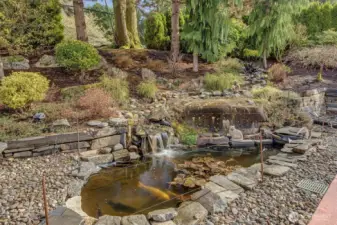 Would not be complete without a water fall and Koi pond.