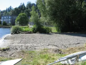 Private neighborhood beach.