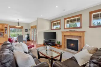 So may windows! Gas fireplace for those cozy winter nights