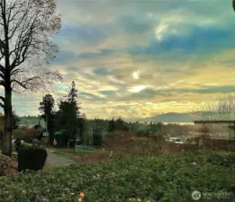 View from Primary bedroom