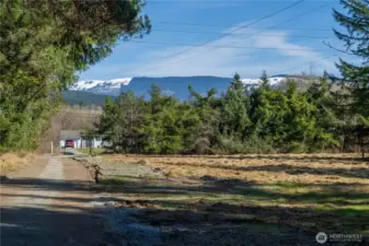 Front Yard of Property