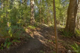 The trail system runs along the upper portion where the railroad used to be. This property does own the vacanted railroad right-of-way.